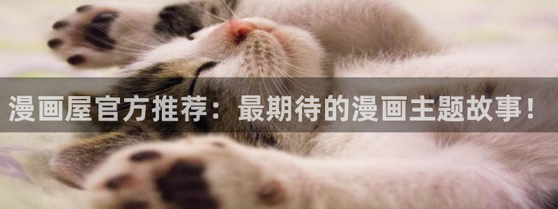 漫漫漫画在线观看