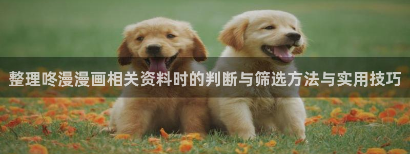 漫漫漫画漫画网